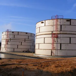 Fagen_Camilla_1-30-08_017-1-300x300