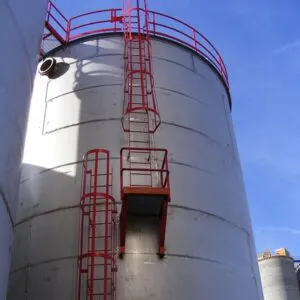 Fagen_Camilla_1-30-08_070-1-300x300